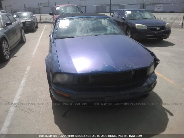 1ZVFT84N075240925 - 2007 FORD MUSTANG BLUE photo 6