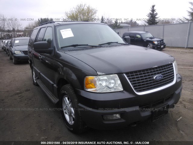 1FMPU16566LA47970 - 2006 FORD EXPEDITION XLT BROWN photo 1