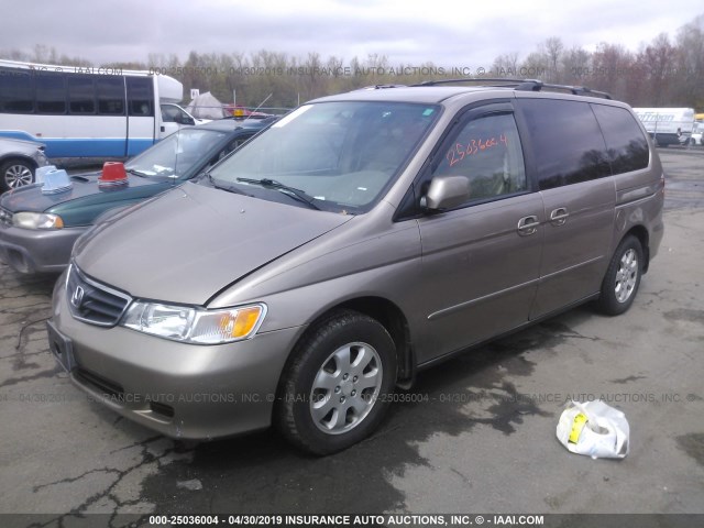 5FNRL180X3B066828 - 2003 HONDA ODYSSEY EXL GOLD photo 2