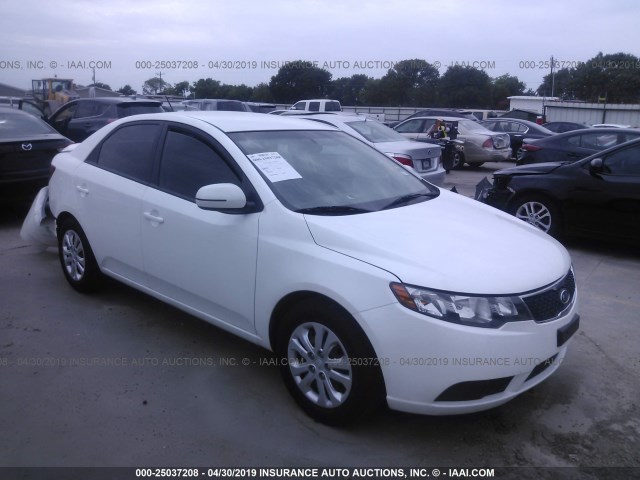 KNAFU4A23D5692654 - 2013 KIA FORTE EX WHITE photo 1