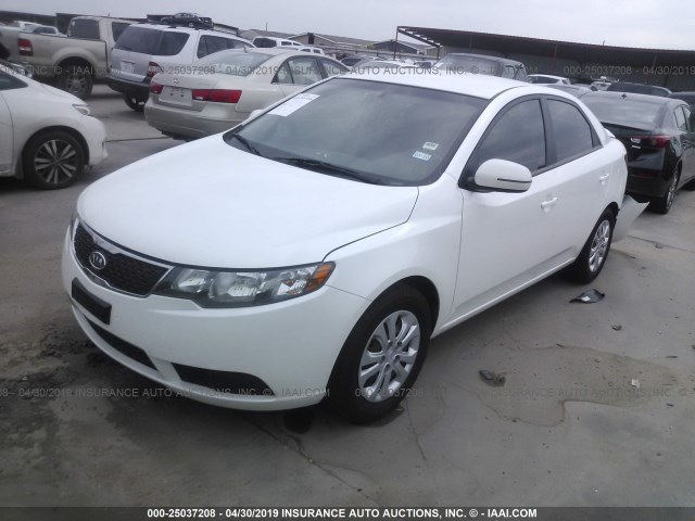 KNAFU4A23D5692654 - 2013 KIA FORTE EX WHITE photo 2