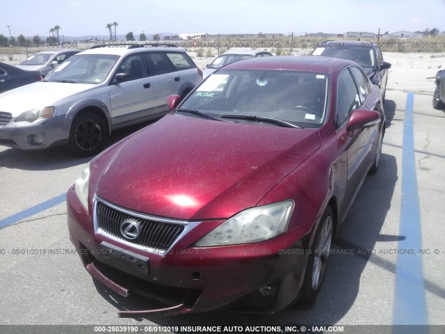 JTHBF5C20C5157776 - 2012 LEXUS IS 250 RED photo 2