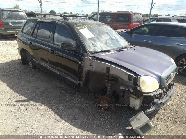 KM8SC13D13U342893 - 2003 HYUNDAI SANTA FE GLS/LX BLACK photo 1