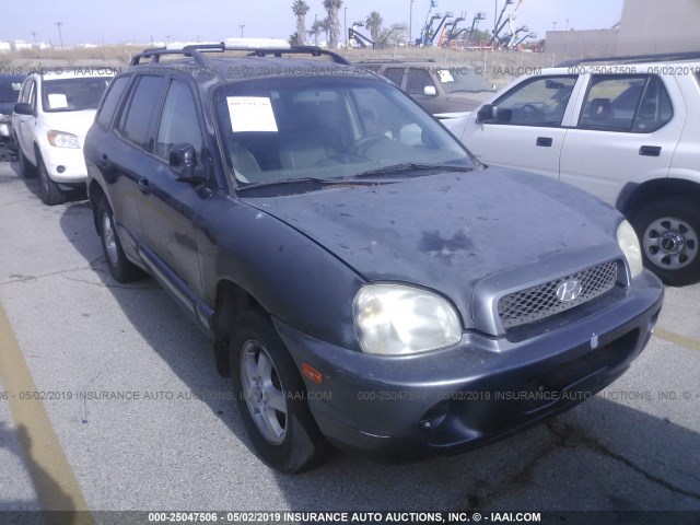 KM8SB12B13U369319 - 2003 HYUNDAI SANTA FE GL BLACK photo 1