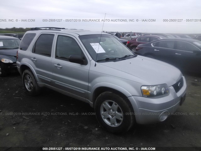 1FMYU04155KD73942 - 2005 FORD ESCAPE LIMITED SILVER photo 1