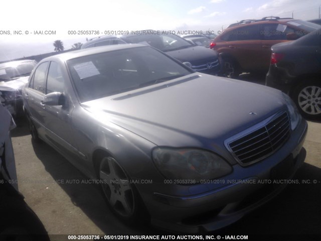 WDBNG75J23A367961 - 2003 MERCEDES-BENZ S 500 GRAY photo 1