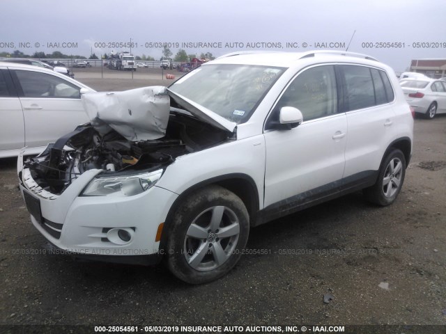 WVGBV7AX2AW532133 - 2010 VOLKSWAGEN TIGUAN SE/SEL WHITE photo 2