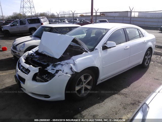 1G1ZC5EUXBF223629 - 2011 CHEVROLET MALIBU 1LT 白色 照片 2