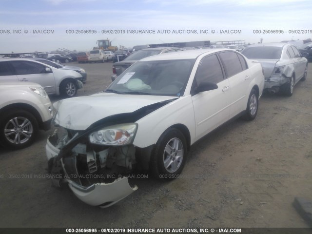 1G1ZT54854F124692 - 2004 CHEVROLET MALIBU LS WHITE photo 2