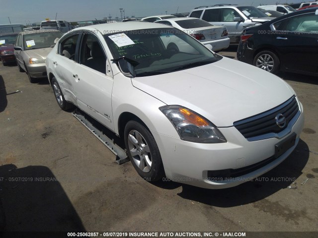 1N4CL21E19C110504 - 2009 NISSAN ALTIMA HYBRID WHITE photo 1