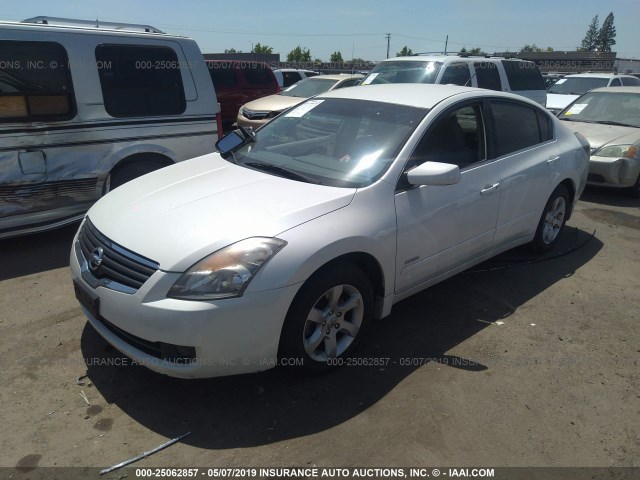 1N4CL21E19C110504 - 2009 NISSAN ALTIMA HYBRID WHITE photo 2