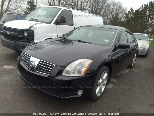 1N4BA41E65C819596 - 2005 NISSAN MAXIMA SE/SL BLACK photo 2