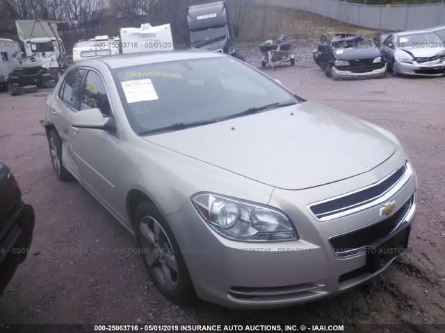 1G1ZC5E14BF376254 - 2011 CHEVROLET MALIBU 1LT 金色 照片 1