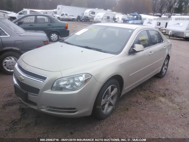 1G1ZC5E14BF376254 - 2011 CHEVROLET MALIBU 1LT 金色 照片 2