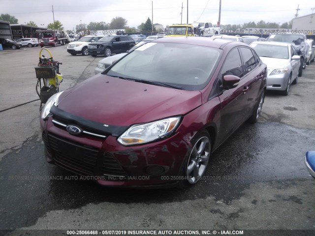 1FADP3F25DL174941 - 2013 FORD FOCUS SE RED photo 2