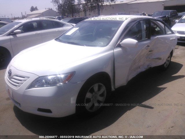 4T1BE46KX7U685875 - 2007 TOYOTA CAMRY NEW GENERAT CE/LE/XLE/SE WHITE photo 2