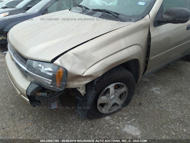 1GNDT13S162105856 - 2006 CHEVROLET TRAILBLAZER LS/LT GOLD photo 6