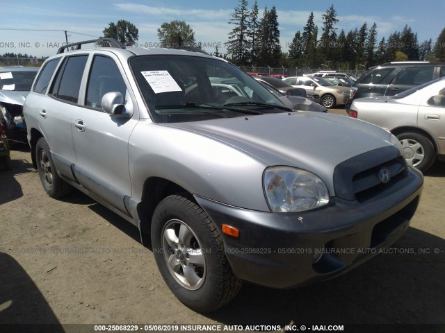 KM8SC73E35U019668 - 2005 HYUNDAI SANTA FE GLS/LX 银色 照片 1