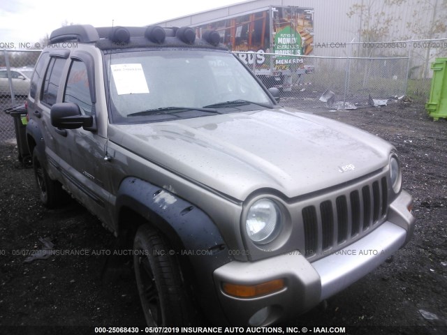 1J4GL38K53W695083 - 2003 JEEP LIBERTY RENEGADE GOLD photo 1