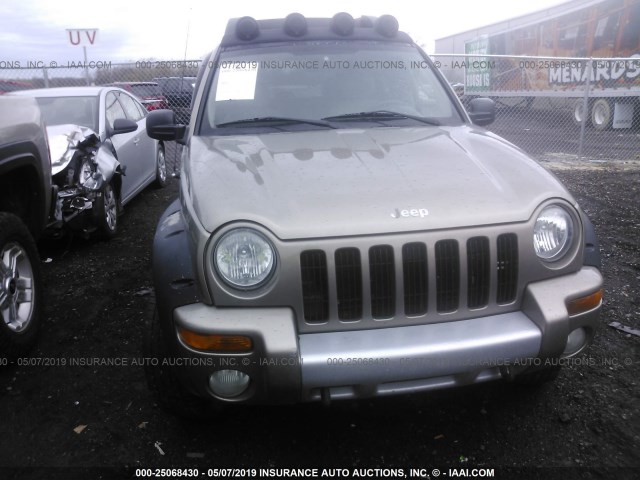 1J4GL38K53W695083 - 2003 JEEP LIBERTY RENEGADE GOLD photo 6