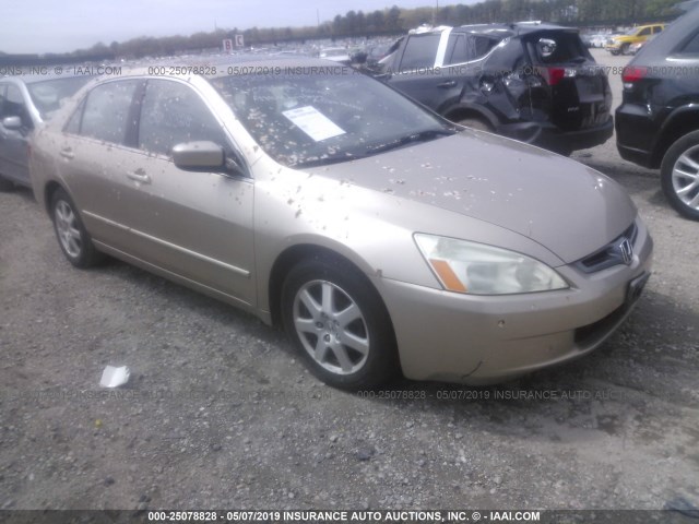 1HGCM66575A064143 - 2005 HONDA ACCORD EX Champagne photo 1
