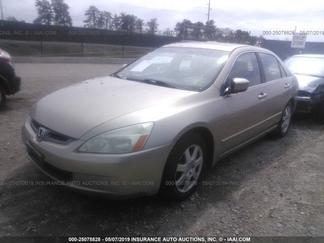1HGCM66575A064143 - 2005 HONDA ACCORD EX Champagne photo 2