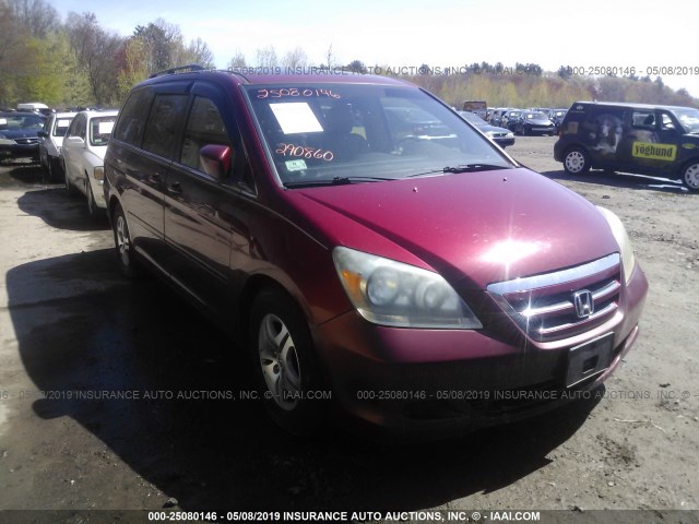 5FNRL38635B413323 - 2005 HONDA ODYSSEY EXL RED photo 1