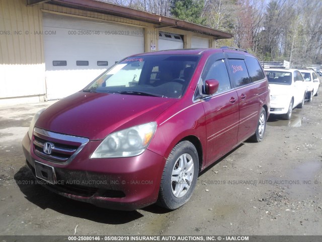 5FNRL38635B413323 - 2005 HONDA ODYSSEY EXL RED photo 2