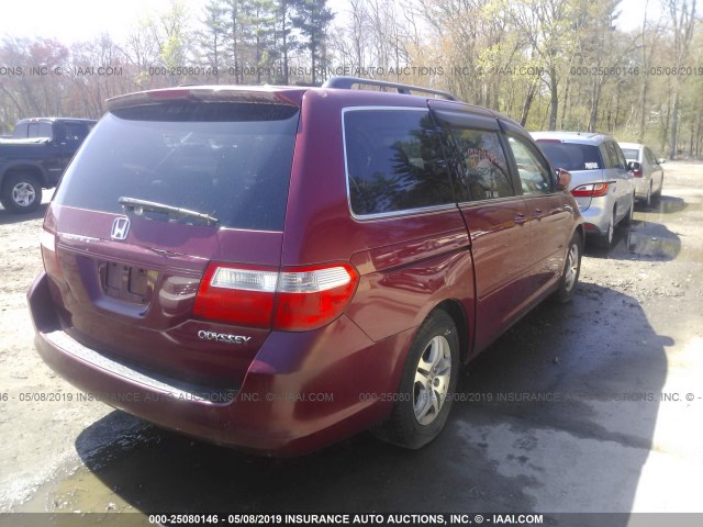 5FNRL38635B413323 - 2005 HONDA ODYSSEY EXL RED photo 4