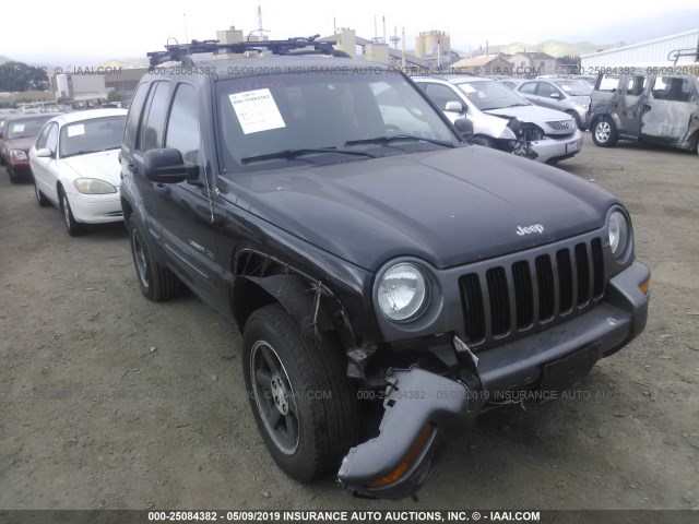1J4GL48K83W678414 - 2003 JEEP LIBERTY SPORT/FREEDOM შავი ფოტო 1