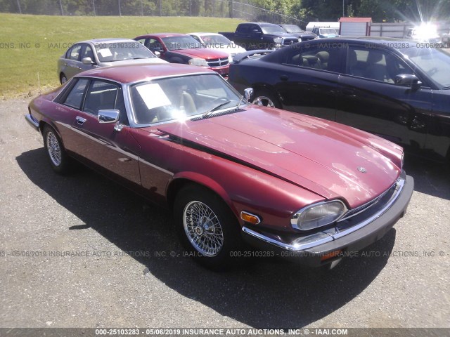 SAJNV5844EC112576 - 1984 JAGUAR XJS RED photo 1