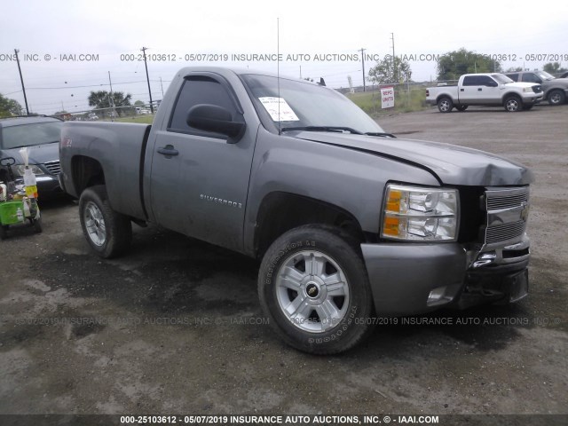 1GCEK24J09Z201016 - 2009 CHEVROLET SILVERADO K1500 LT GRAY photo 1