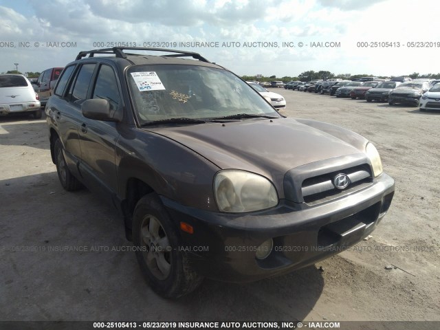 KM8SC13D06U067974 - 2006 HYUNDAI SANTA FE GLS/LIMITED BROWN photo 1