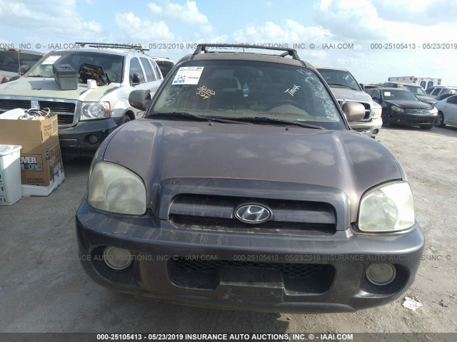 KM8SC13D06U067974 - 2006 HYUNDAI SANTA FE GLS/LIMITED BROWN photo 6