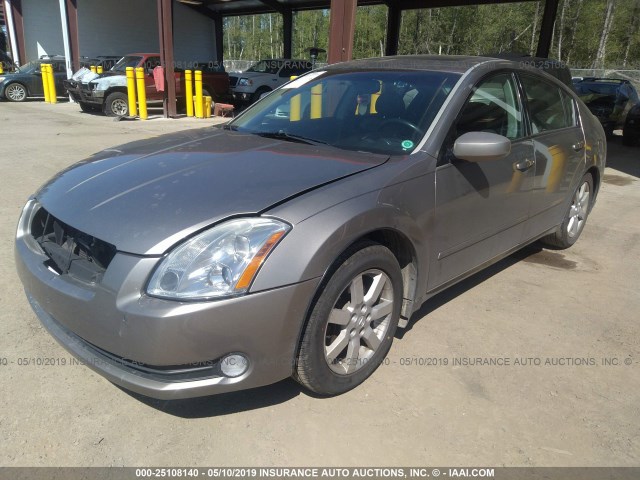 1N4BA41E04C880733 - 2004 NISSAN MAXIMA SE/SL TAN photo 2