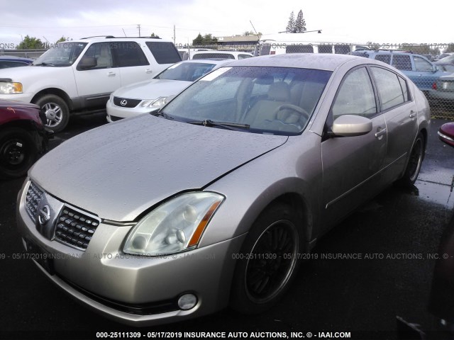 1N4BA41E56C856334 - 2006 NISSAN MAXIMA SE/SL CREAM photo 2