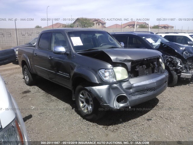 5TBET34194S449139 - 2004 TOYOTA TUNDRA DOUBLE CAB SR5 GRAY photo 1