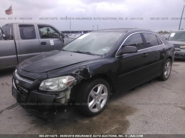 1G1ZB5E05CF109295 - 2012 CHEVROLET MALIBU LS BLACK photo 2