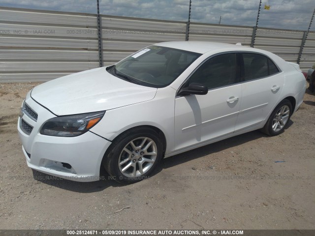 1G11D5SRXDF306006 - 2013 CHEVROLET MALIBU 1LT 白色 照片 2