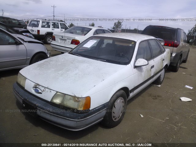 1FABP50U0KG202499 - 1989 FORD TAURUS L WHITE photo 2