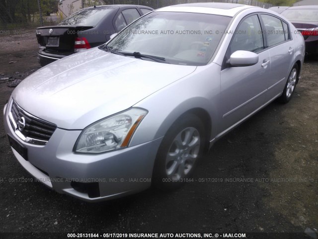 1N4BA41E37C860593 - 2007 NISSAN MAXIMA SE/SL SILVER photo 2