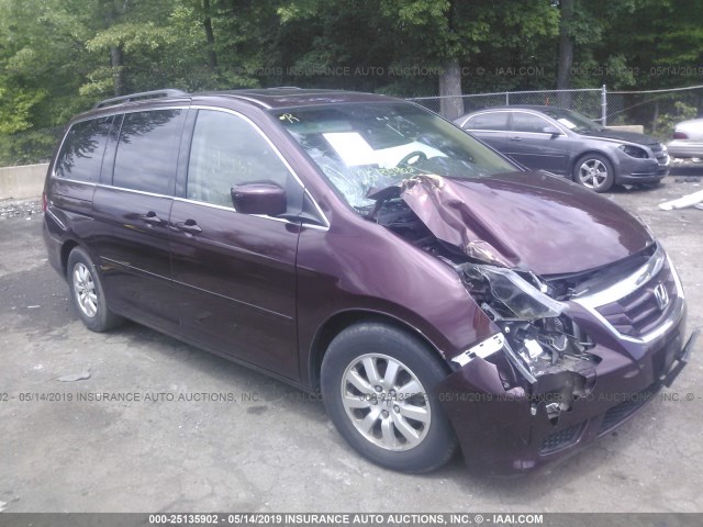 5FNRL3H76AB020984 - 2010 HONDA ODYSSEY EXL MAROON photo 1