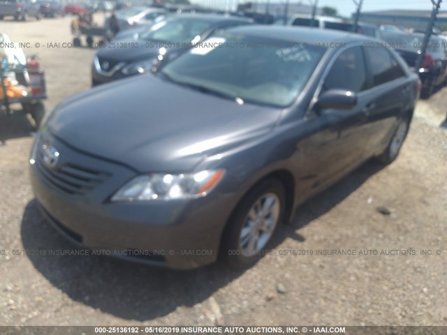 4T1BE46K49U828810 - 2009 TOYOTA CAMRY SE/LE/XLE GRAY photo 2