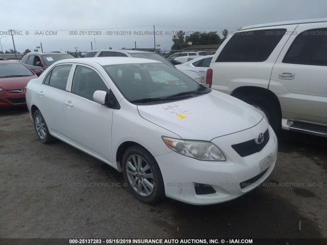 1NXBU4EE5AZ295613 - 2010 TOYOTA COROLLA S/LE/XLE WHITE photo 1