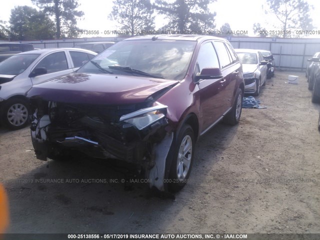 2FMDK3JC1DBE36510 - 2013 FORD EDGE SEL BURGUNDY photo 2