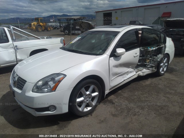 1N4BA41E86C859048 - 2006 NISSAN MAXIMA SE/SL WHITE photo 2