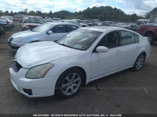 1N4BA41E27C811448 - 2007 NISSAN MAXIMA SE/SL WHITE photo 2