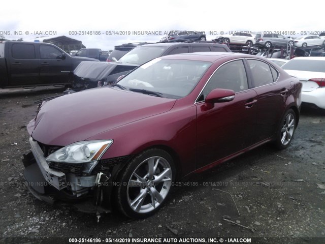 JTHBF5C29A2098144 - 2010 LEXUS IS 250 RED photo 2