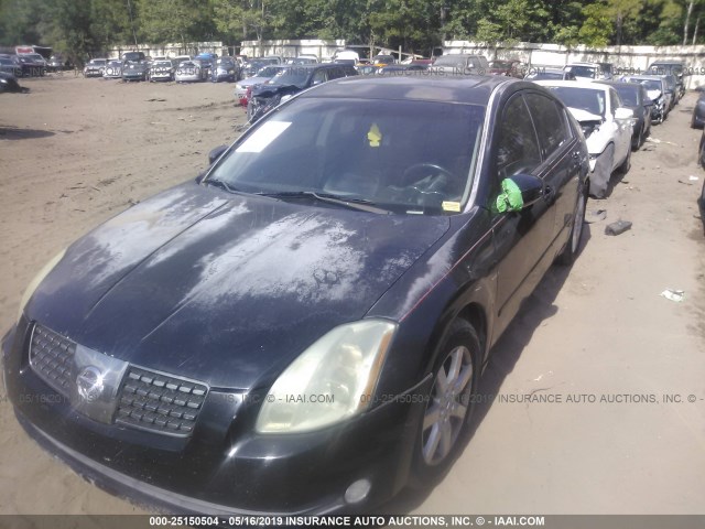 1N4BA41E15C834152 - 2005 NISSAN MAXIMA SE/SL BLACK photo 2