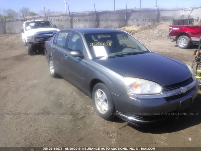 1G1ZT52824F108386 - 2004 CHEVROLET MALIBU LS GRAY photo 1
